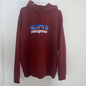 Men’s Patagonia Hoodie